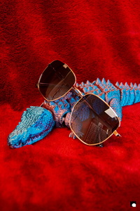 LCDP AV PAD03866 251106