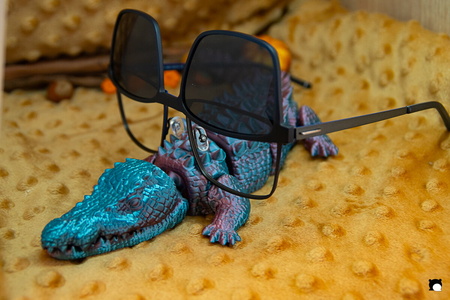 LCDP AV PAD03668 251106