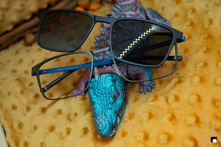 LCDP AV PAD03678 251106