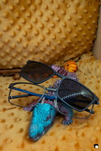 LCDP AV PAD03679 251106