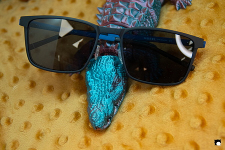 LCDP AV PAD03683 251106