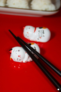 LCDP AV PAD01648 250617