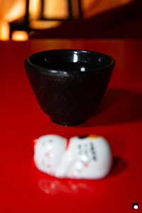 LCDP AV PAD01797 250617