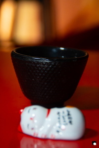 LCDP AV PAD01799 250617