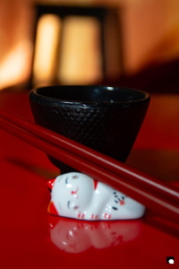 LCDP AV PAD01821 250617