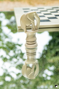 LCDP AV PAD01989 250712