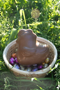 LCDP AV PAD06716 250408