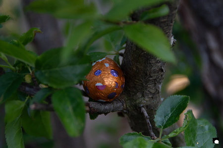 LCDP AV PAD06723 250408