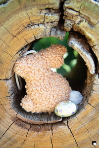 LCDP AV PAD06730 250410