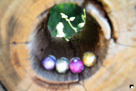 LCDP AV PAD06731 250410