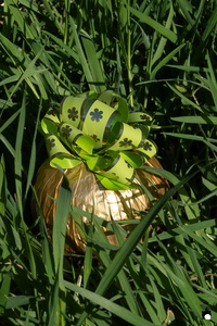 LCDP AV PAD06735 250410