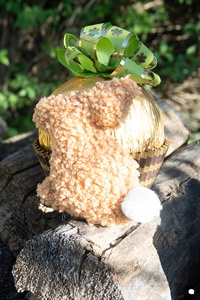 LCDP AV PAD06750 250410