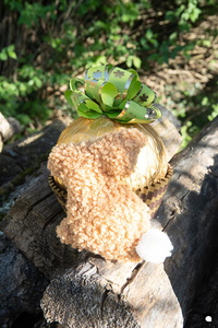 LCDP AV PAD06752 250410