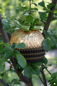 LCDP AV PAD06759 250410