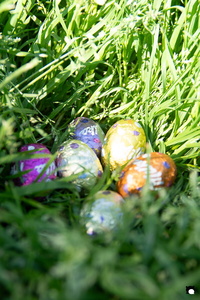 LCDP AV PAD06768 250410