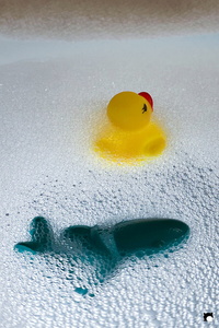 LCDP AV 26-01-05 17-05-02 8523 260105