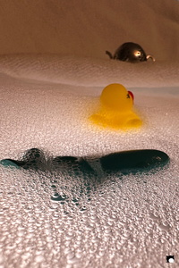 LCDP AV 26-01-05 17-09-06 8531 260105