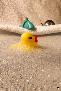 LCDP AV 26-01-05 17-12-55 8535 260105