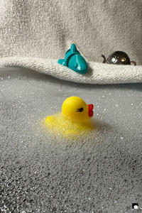 LCDP AV 26-01-05 17-12-56 0015 260105