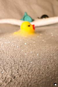 LCDP AV 26-01-05 17-13-18 8537 260105