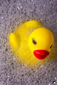 LCDP AV 26-01-05 17-18-00 8544 260105