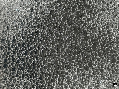 LCDP AV 26-01-05 17-18-12 0008 260105