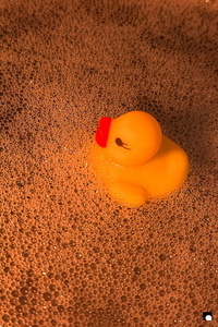 LCDP AV 26-01-05 17-37-52 8554 260105