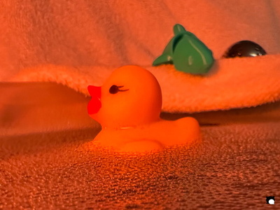 LCDP AV 26-01-05 18-13-37 0005 260105