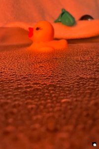 LCDP AV 26-01-05 18-13-40 8561 260105