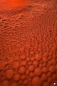 LCDP AV 26-01-05 18-13-45 0001 260105