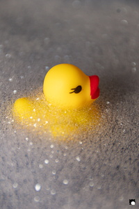 LCDP AV PAD04767 260105