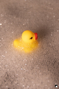 LCDP AV PAD04771 260105