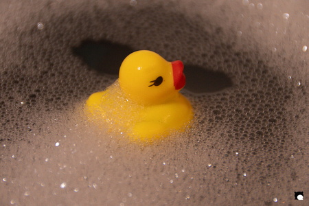 LCDP AV PAD04780 260105