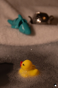 LCDP AV PAD04793 260105