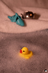 LCDP AV PAD04796 260105