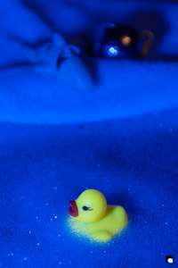 LCDP AV PAD04800 260105