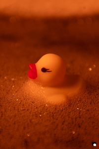 LCDP AV PAD04804 260105