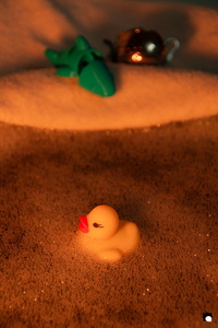 LCDP AV PAD04805 260105