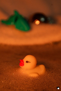 LCDP AV PAD04809 260105